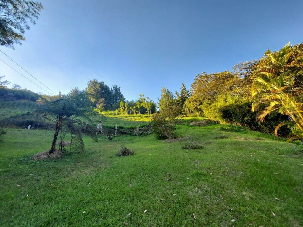 finca quebrada rionegro 3