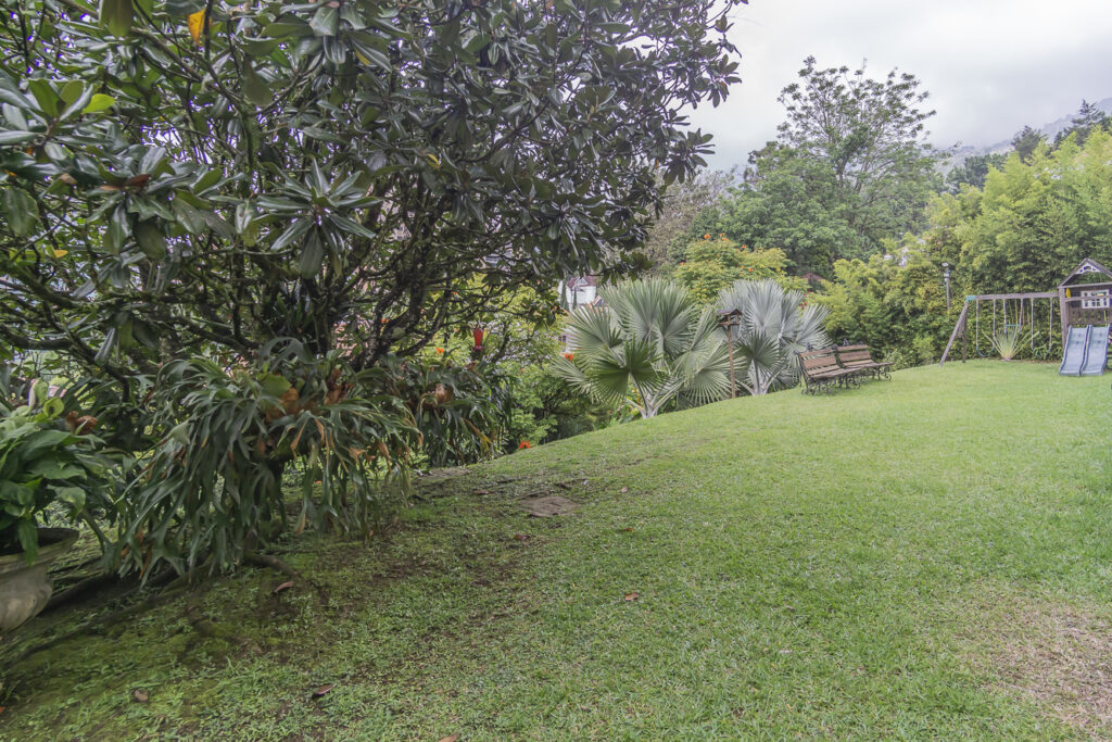 DSC00041