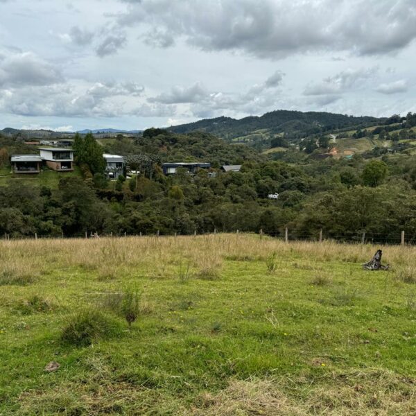 CHARCO AZÚL 2.649m2