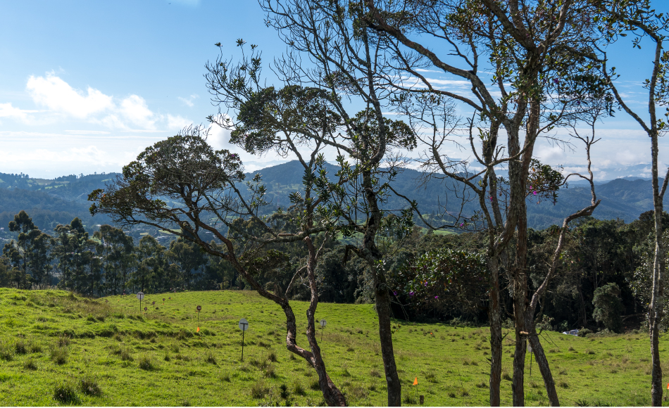 Naturaleza-Sierra-Palmas