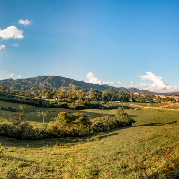 EL TAMBO 1.765m2