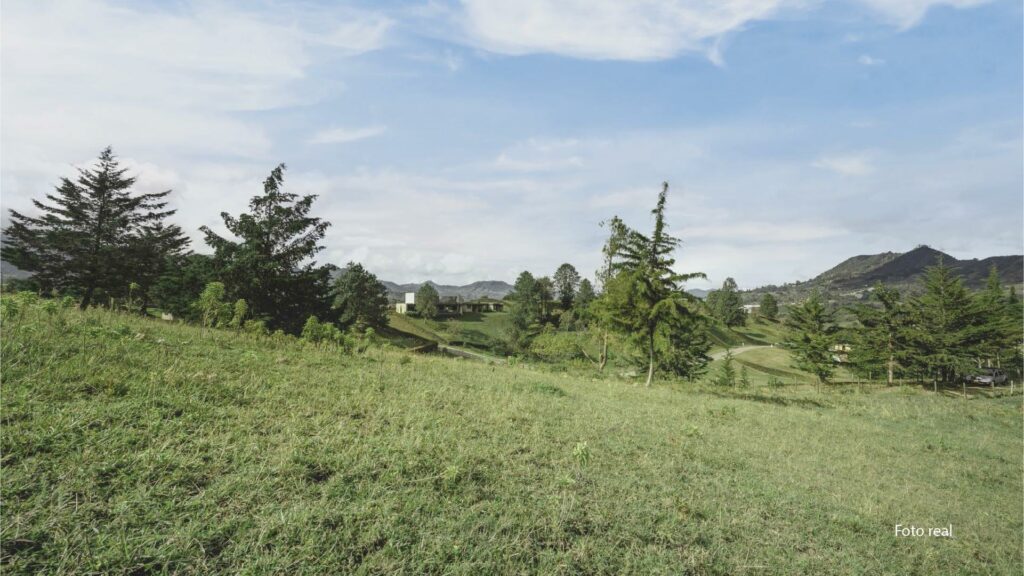 Lotes-25_0