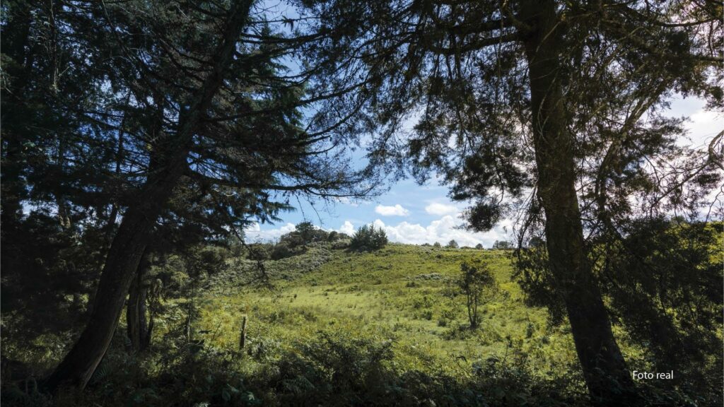 Lotes-27_0