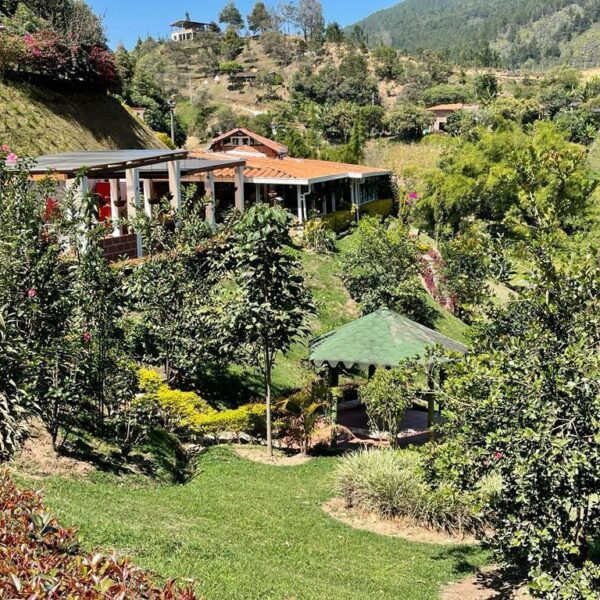 GUARNE 350m2