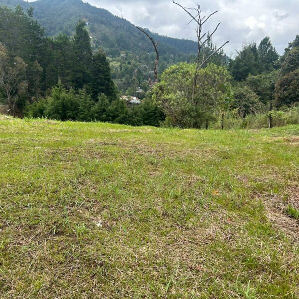 GUARNE 2.500m2