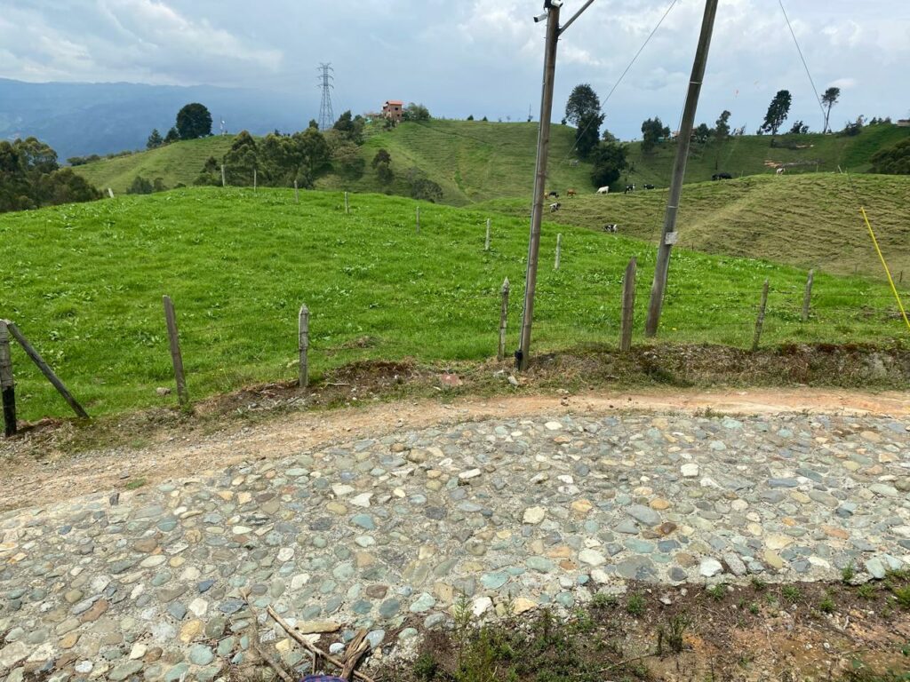 WhatsApp Image 2025-04-09 at 12.10.38 PM