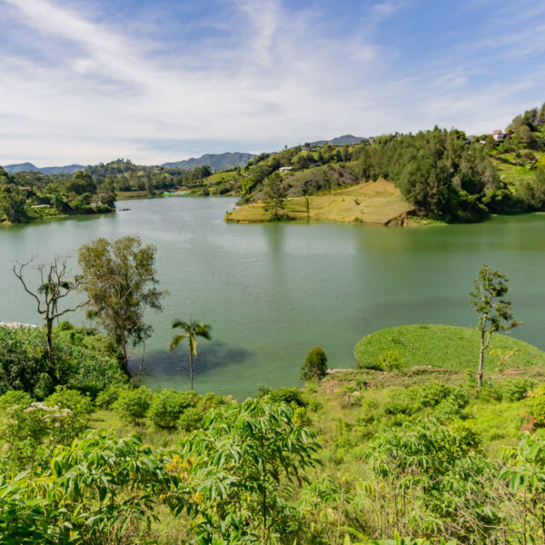 EL PEÑOL 13.000m2