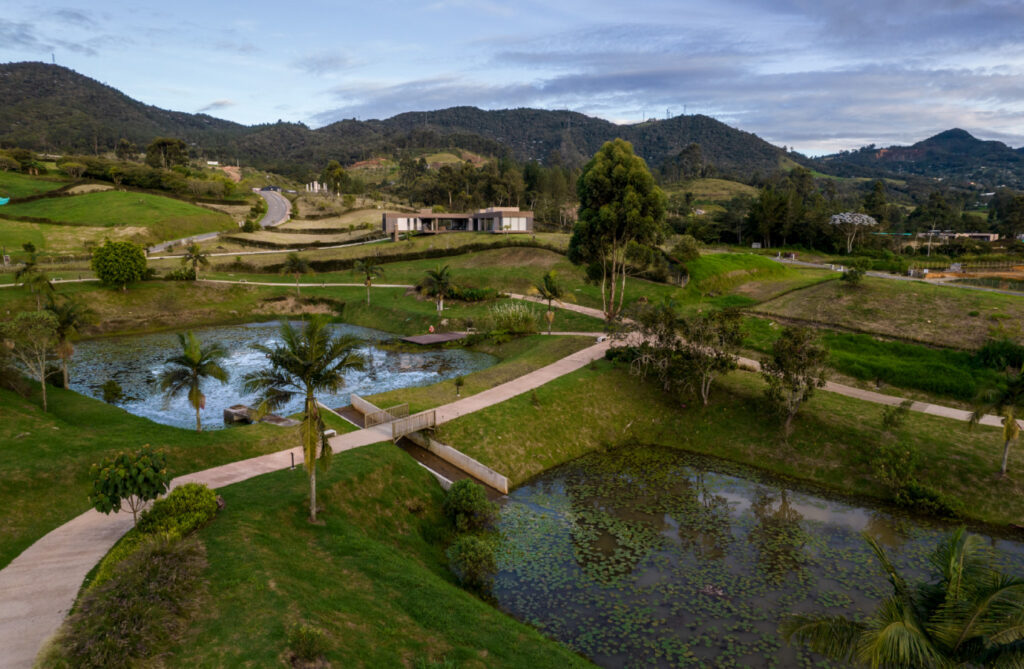 1750352225_mesa-de-trabajo-1-copia-3reserva-silvestre