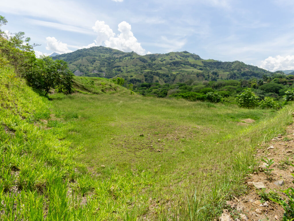 DSC09887