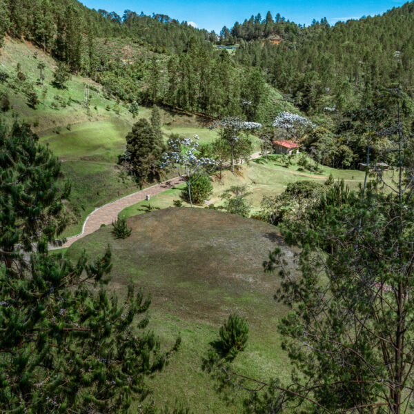 EL RETIRO 5.587m2