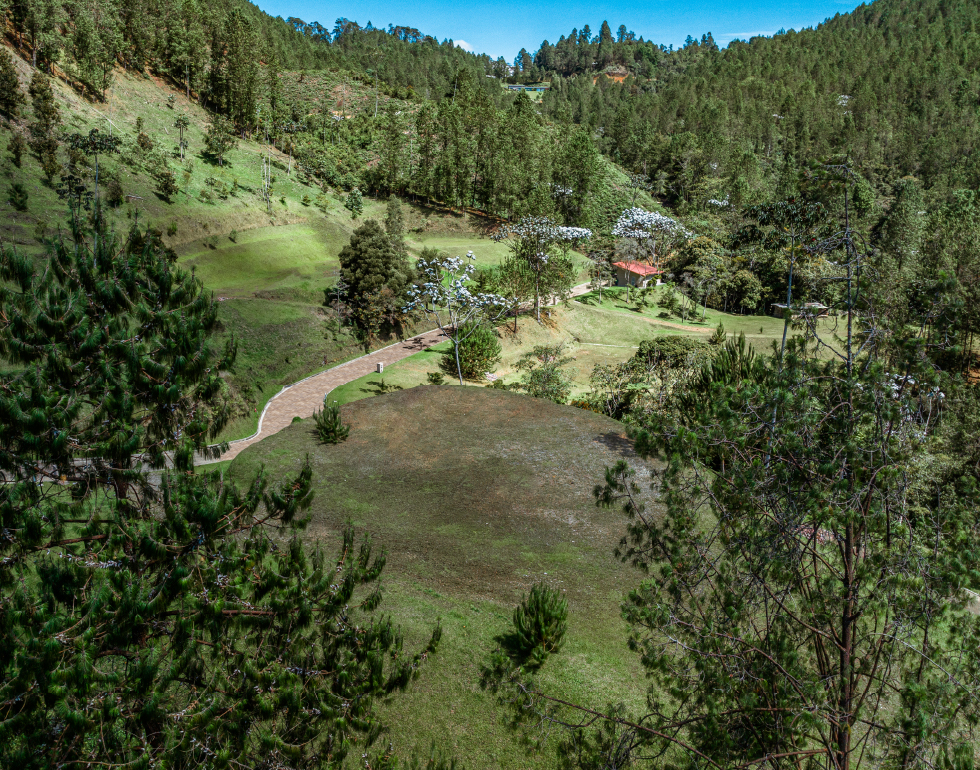 reservas-juanito-laguna-3