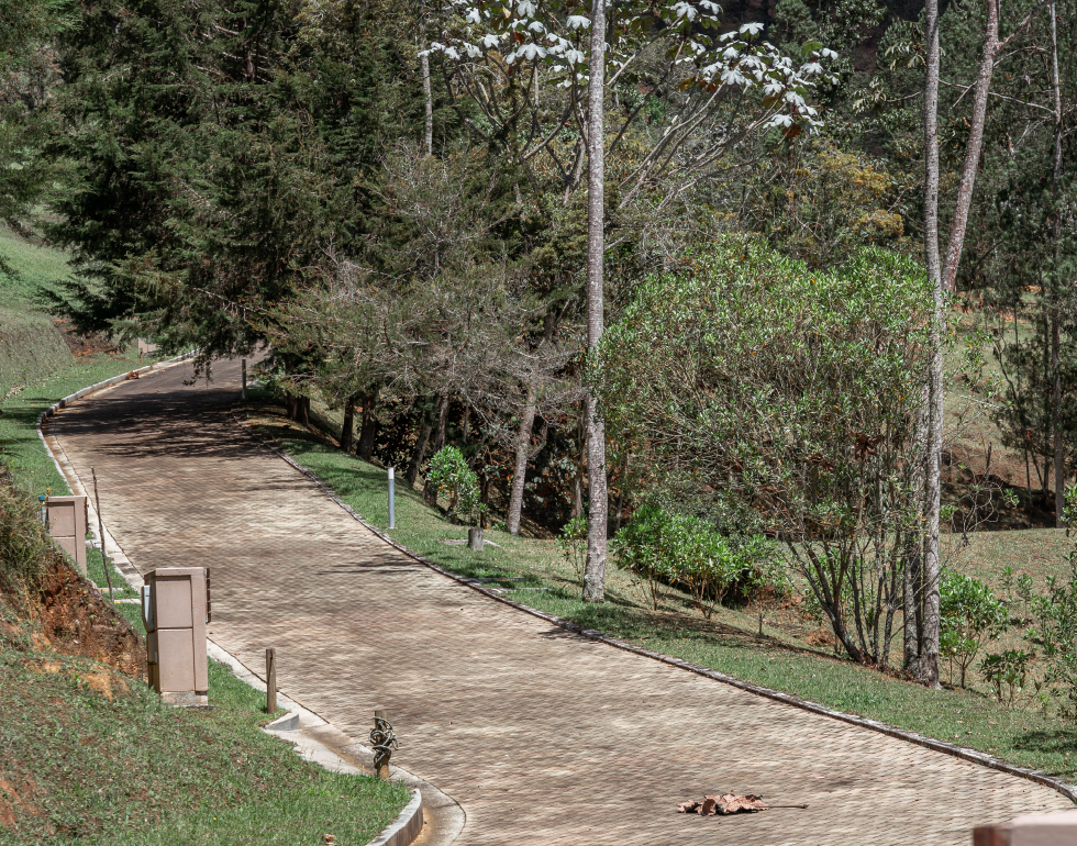 reservas-juanito-laguna-6